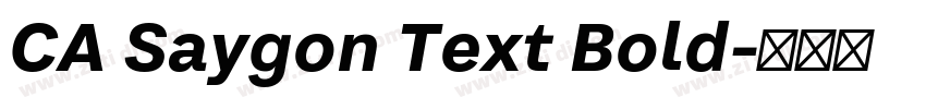 CA Saygon Text Bold字体转换